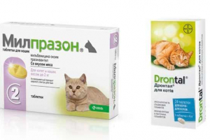 Način primjene tableta iz milbemax crva za mačku Način primjene tableta iz milbemax crva za mačku